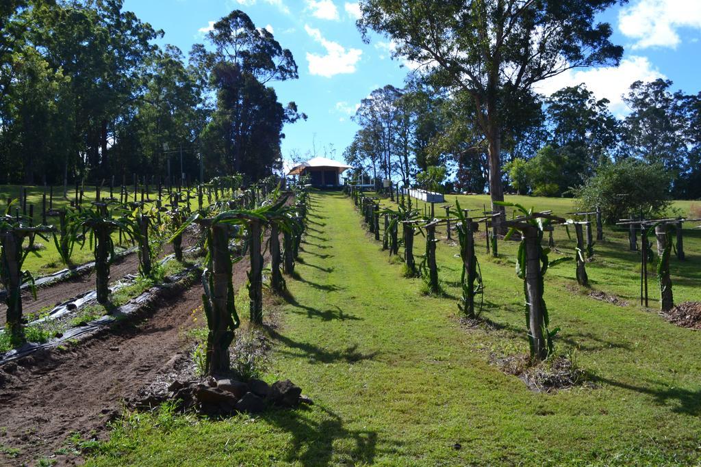 Tuckers Retreat Hotel Canungra Ngoại thất bức ảnh