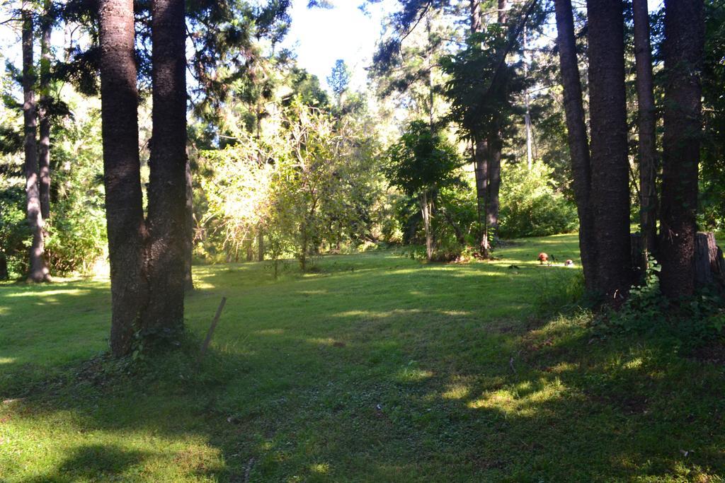 Tuckers Retreat Hotel Canungra Ngoại thất bức ảnh
