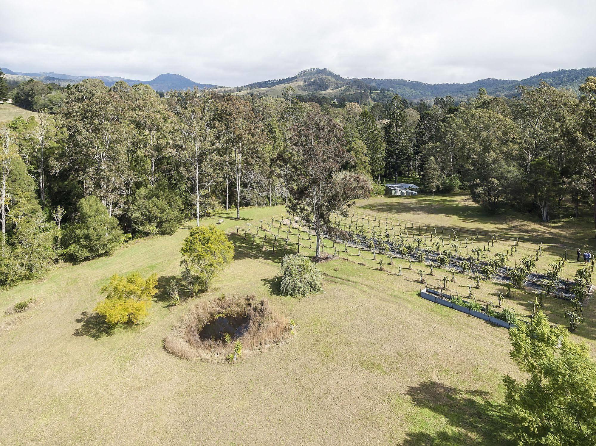 Tuckers Retreat Hotel Canungra Ngoại thất bức ảnh